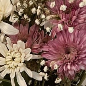 Meet your Posher, Yaffit